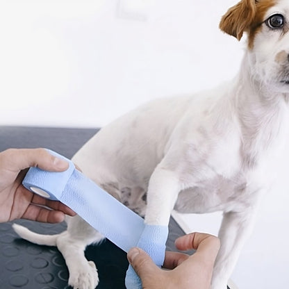 2 packs Bandage Shoe