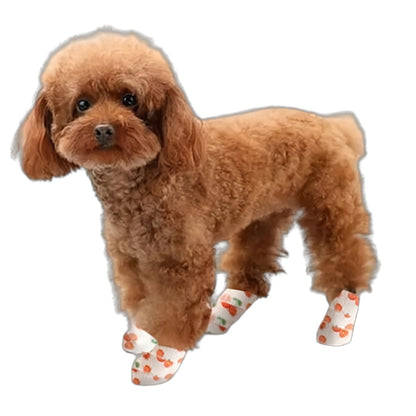 2 packs Bandage Shoe