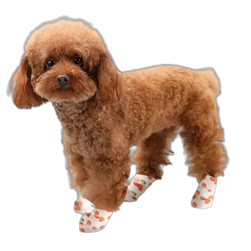 2 packs Bandage Shoe