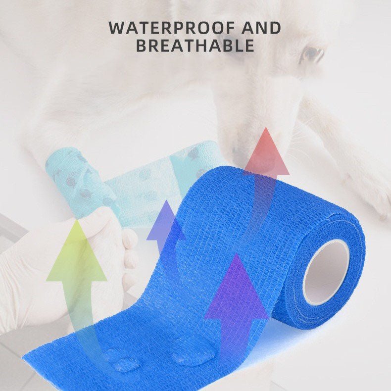 2 packs Bandage Shoe