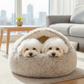 [BEST SELLER] Snuggle into Comfort with the 2-in-1 Bed