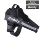 Adjustable Personalized Dog Harness Available For Dropshipping Worldwide Supply