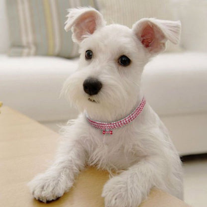 Bling Bone Rhinestone Collar