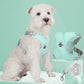 Breathable Crossed Harness Set