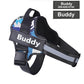 Adjustable Personalized Dog Harness Available For Dropshipping Worldwide Supply