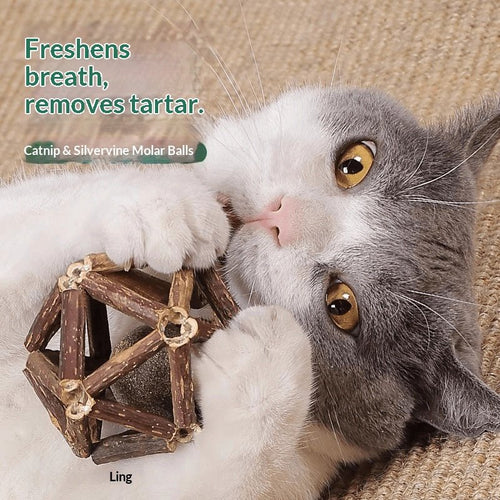 Catnip &amp; Silvervine Dental Chew Ball