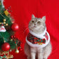 Christmas Pet Cloak Scarf