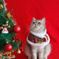 Christmas Pet Cloak Scarf