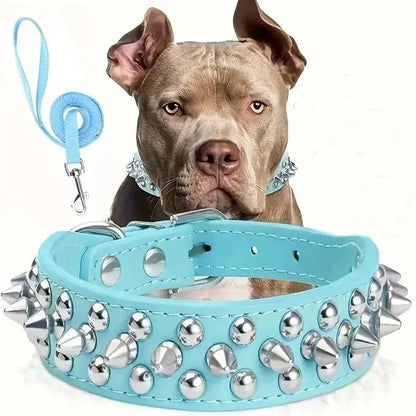 Cool Leather Collar with Spikes and Matching Leash