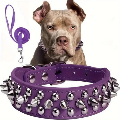 Cool Leather Collar with Spikes and Matching Leash