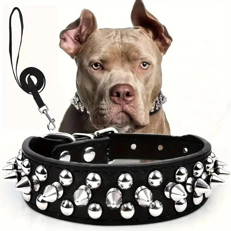 Cool Leather Collar with Spikes and Matching Leash