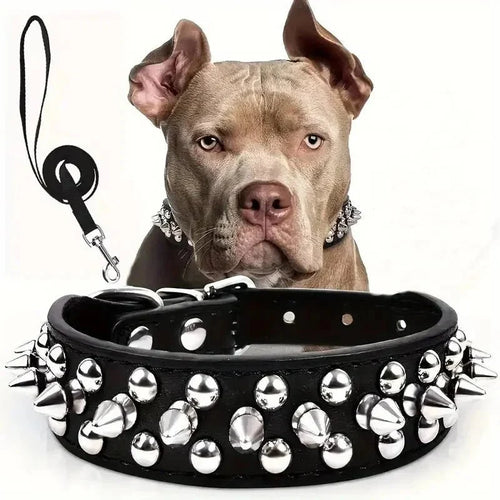 Cool Leather Collar with Spikes and Matching Leash