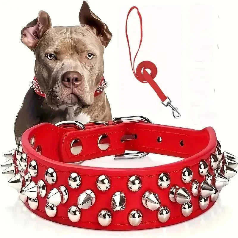 Cool Leather Collar with Spikes and Matching Leash