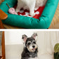 Cooling Gel Pad bed- Instant Cooling Effect/Chew-Resistant