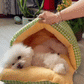 Cozy Cave Pet Nest - A Snug, Washable Haven for Your Furry Friend