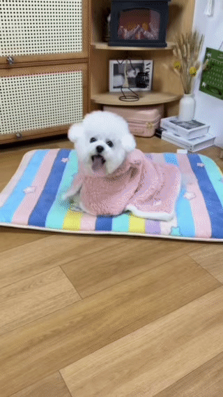 Pet Warm Cape - Snug, Cute & Easy for Your Furry Pal!