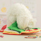 Cute Hidden Food Interactive Pet Toy