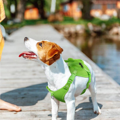 Dog Backpack Harness No-Pull with D-Ring outdoor hiking