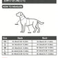 Dog Harness Anti-Pull Adjustable Easy to Control