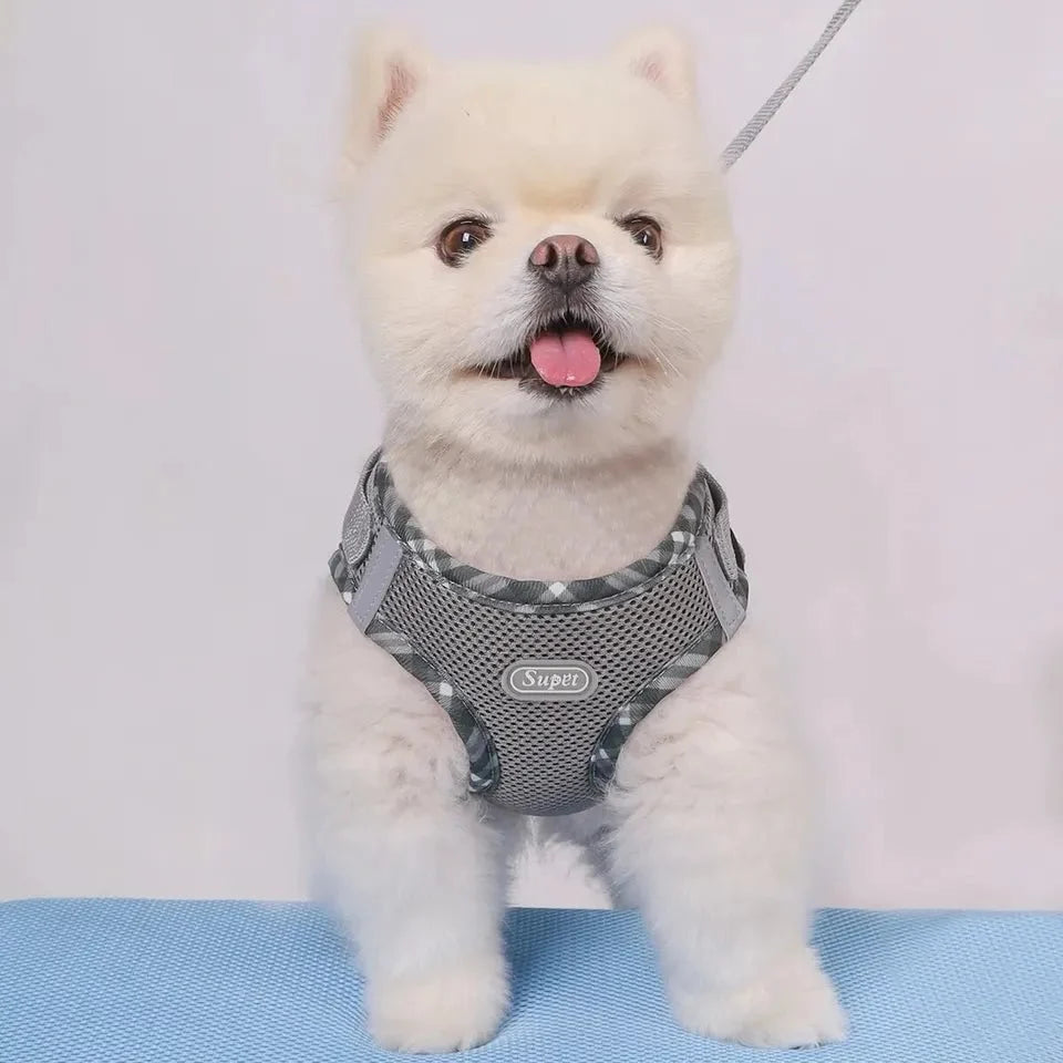 Dog Harness Anti-Pull Adjustable Easy to Control