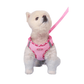 Dog Harness Anti-Pull Adjustable Easy to Control