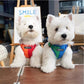 Dog Harness Leash Set Reflective Adjustable