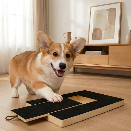 Wooden Dog Nail Scratch Board With Built-In Treat Storage Box