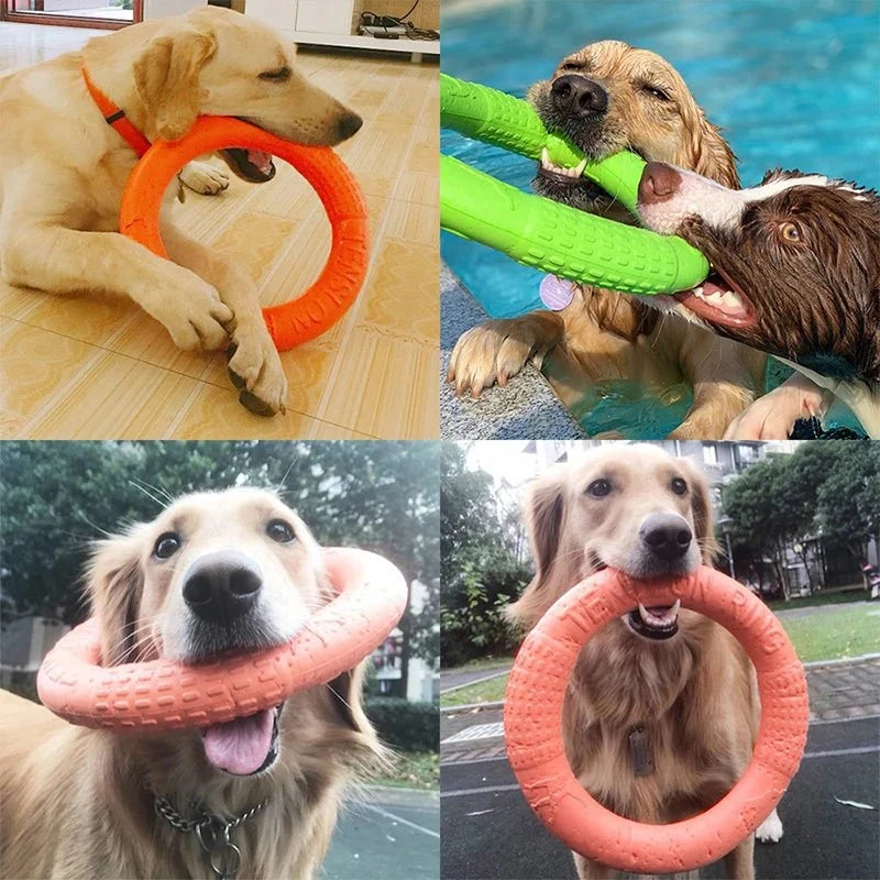 Toy Training Ring