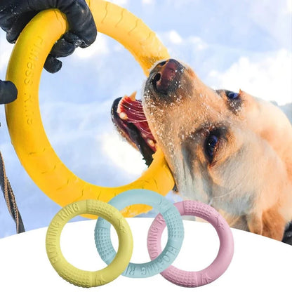 Toy Training Ring