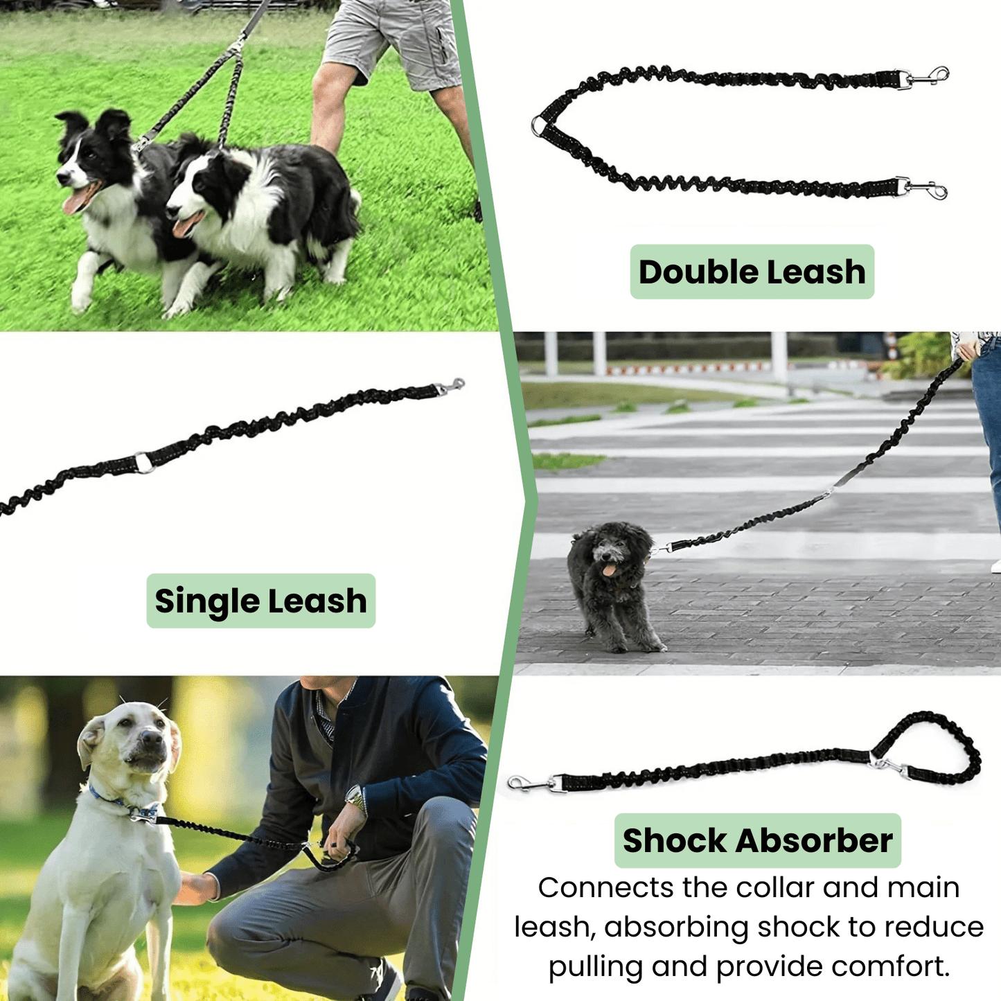 Double Dog Leash - Shock Absorbing