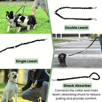 Double Dog Leash - Shock Absorbing