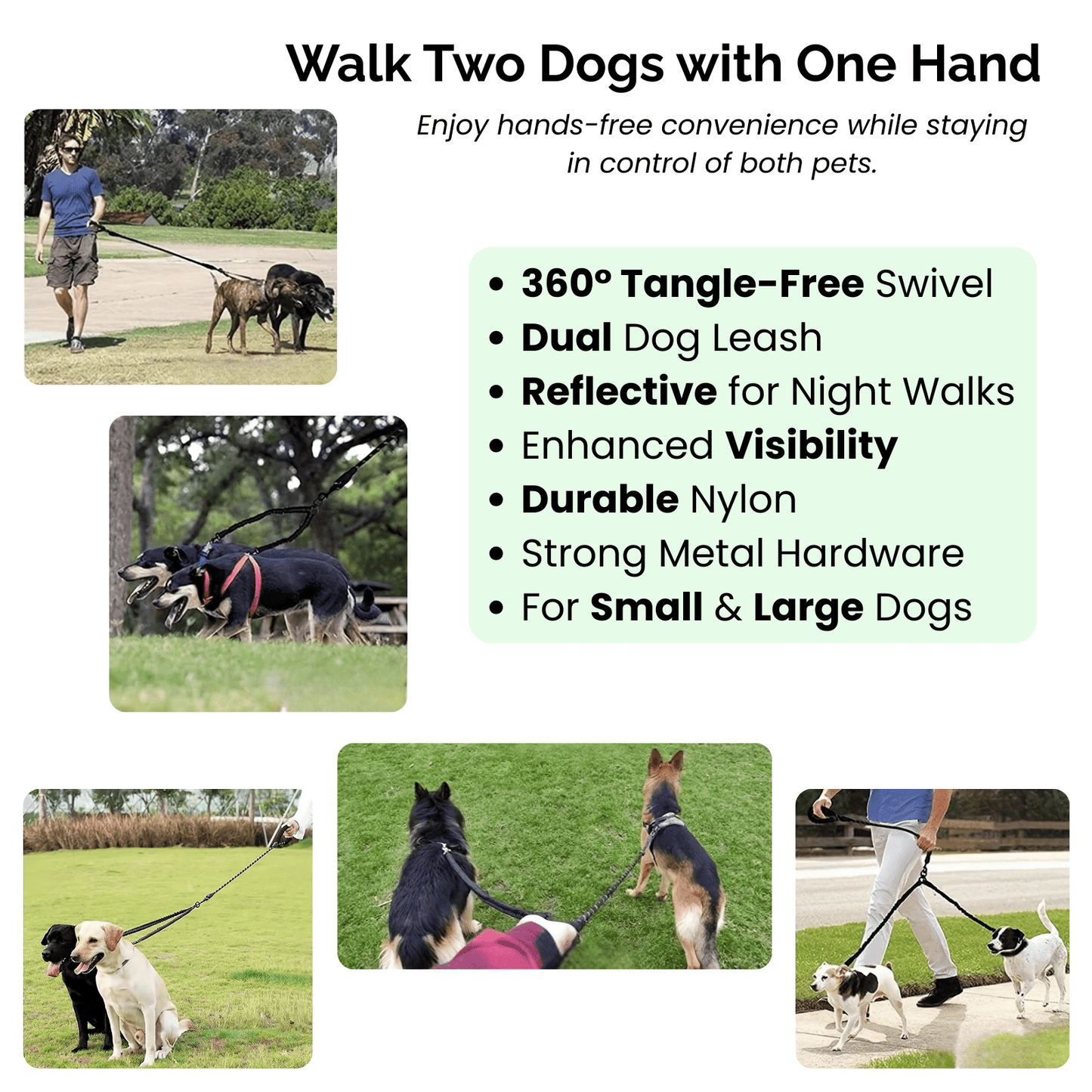 Double Dog Leash - Shock Absorbing