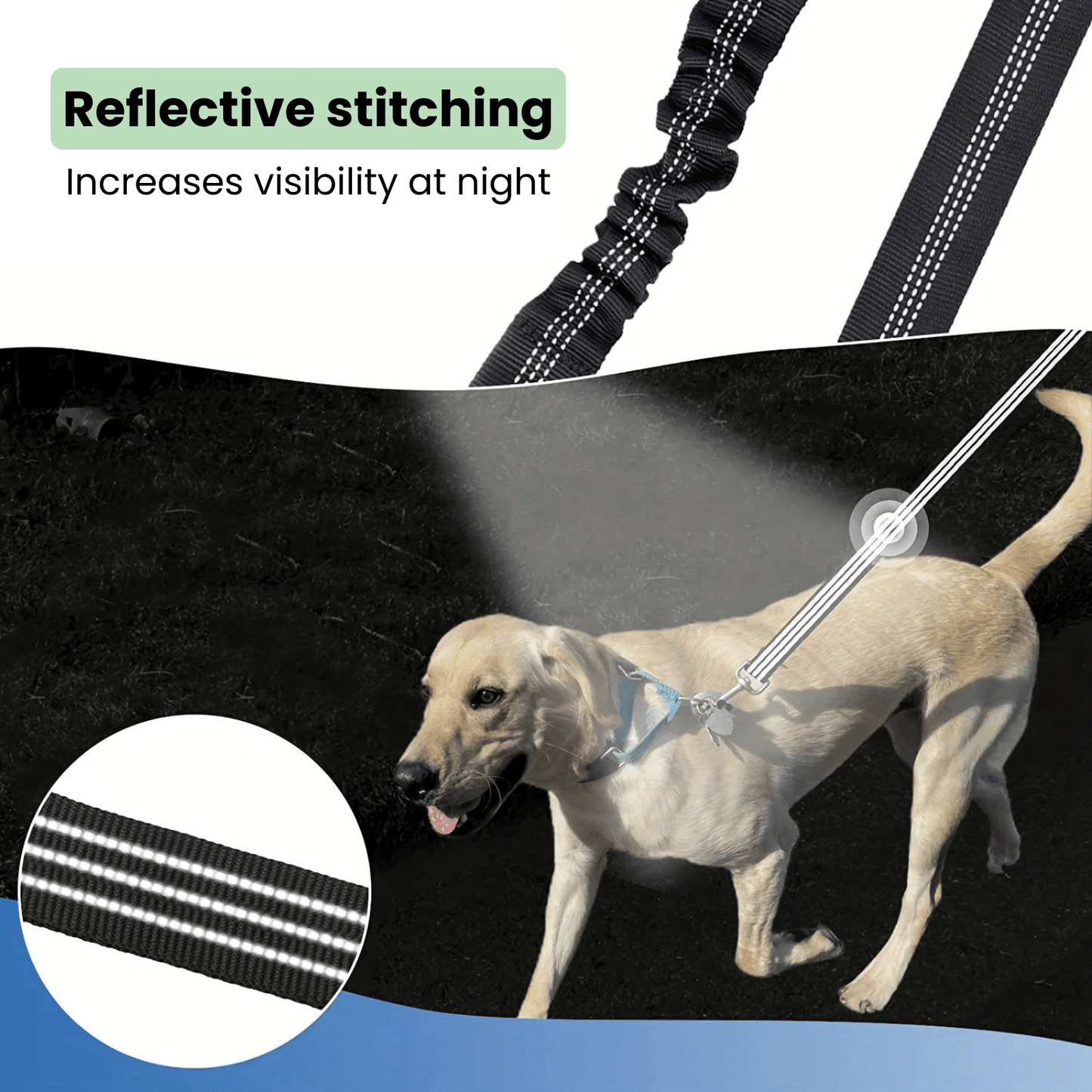 Double Dog Leash - Shock Absorbing