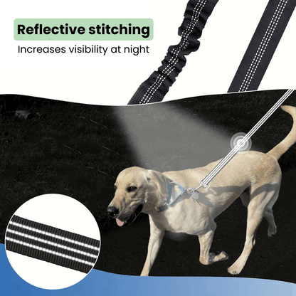 Double Dog Leash - Shock Absorbing
