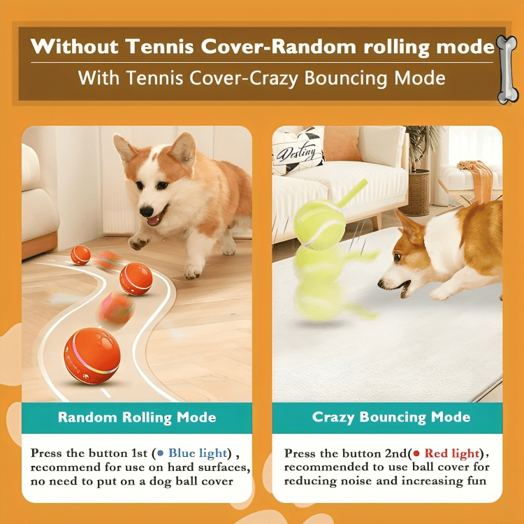 DuraSpin™ Self-Rolling Interactive Dog Ball