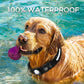 GlowTrack Airtag Dog Collar