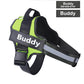 Adjustable Personalized Dog Harness Available For Dropshipping Worldwide Supply