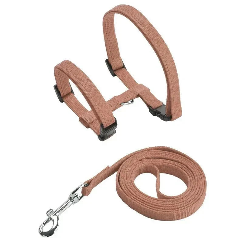 H-shaped harness with leash
