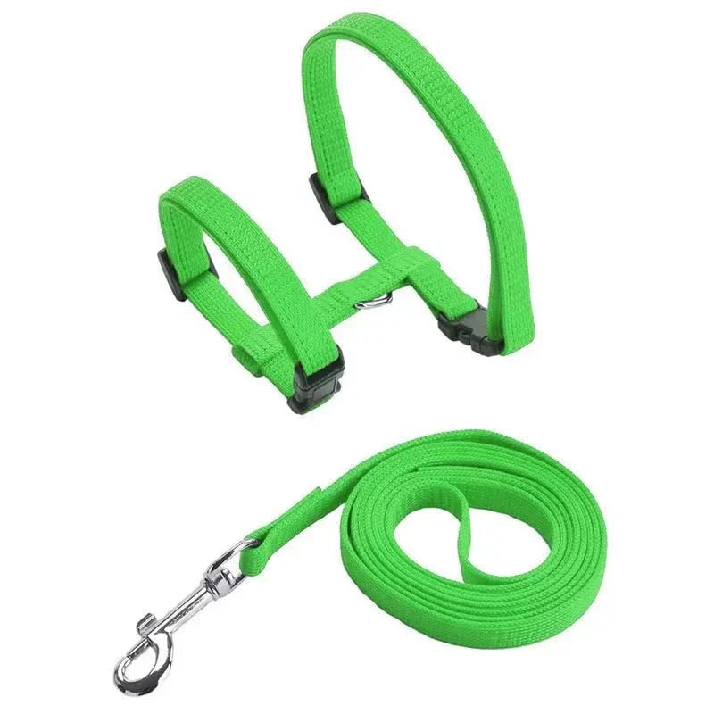 H-shaped harness with leash