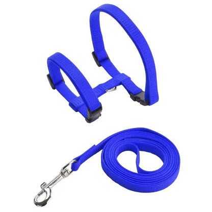 H-shaped harness with leash