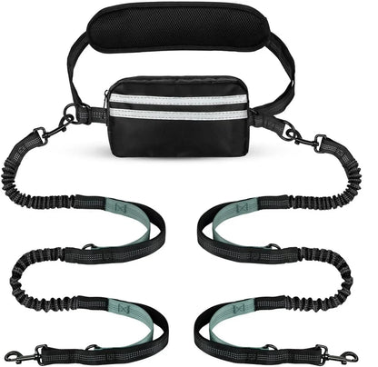 Hands-free Dog Leash with Storage Pouch