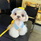 Harness Leash Set for Small Mid Dogs Cat