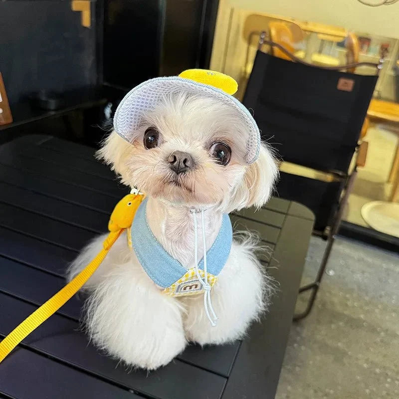 Harness Leash Set for Small Mid Dogs Cat