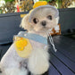 Harness Leash Set for Small Mid Dogs Cat