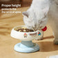 Ice Cream Stainless Steel Pet Feeding Bowl