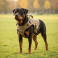 K9 Harness – Tactical Dog Harness for Dogs