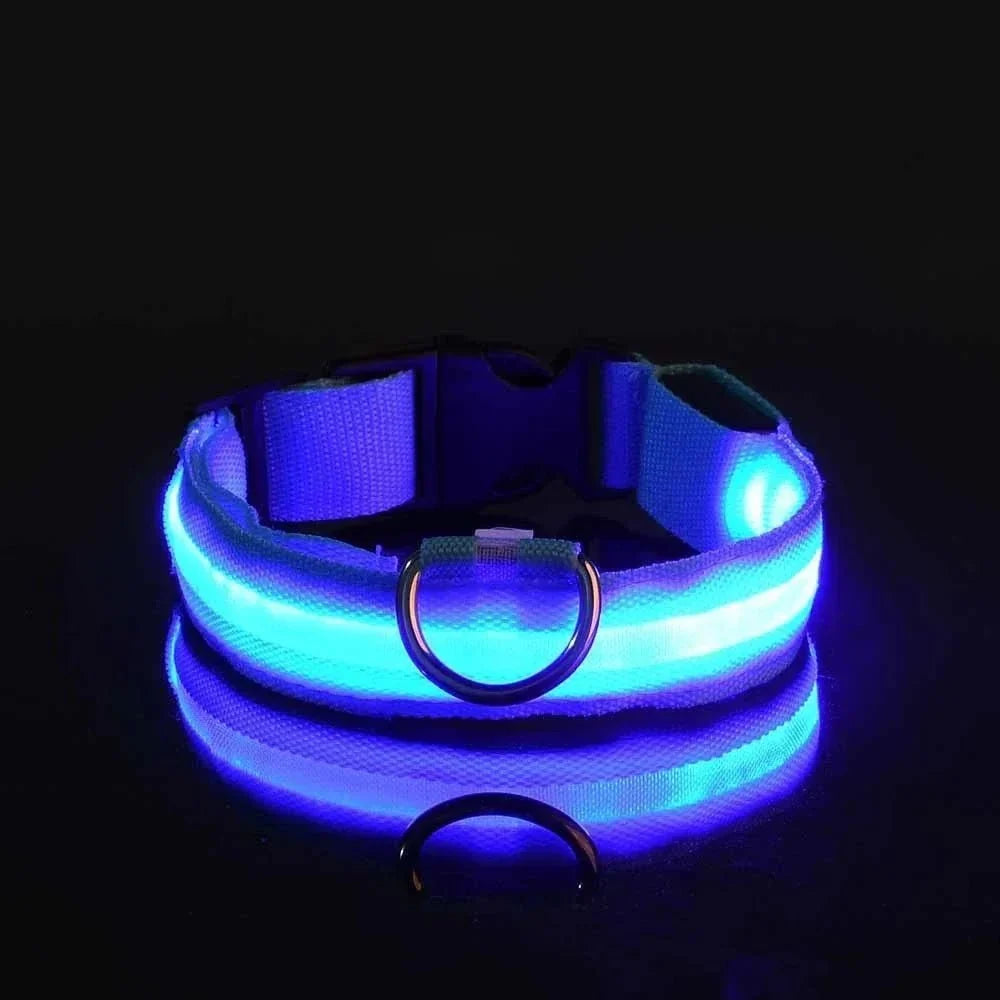LED Collar for Dogs