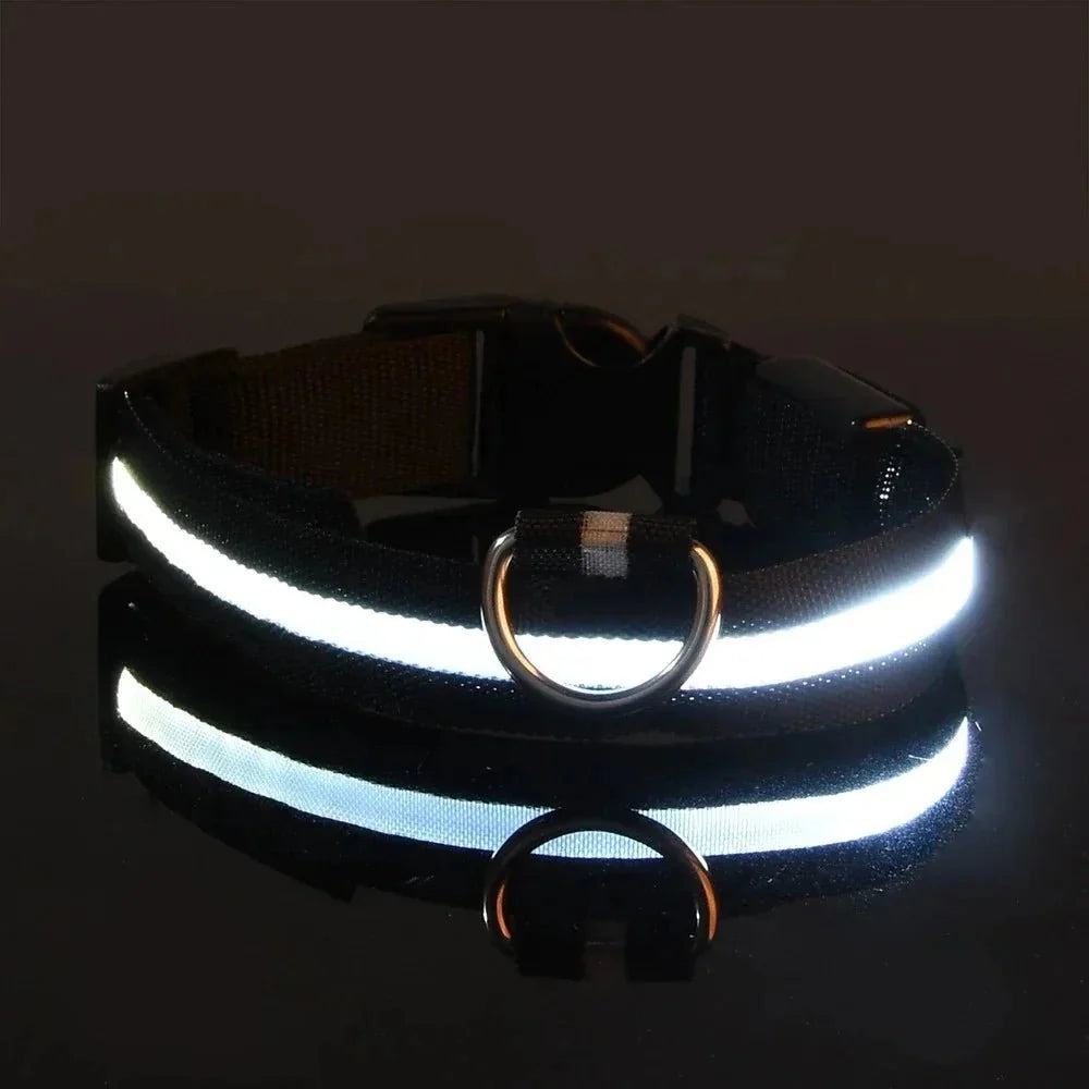 LED Collar for Dogs