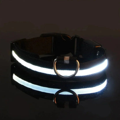 LED Collar for Dogs