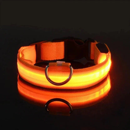 LED Collar for Dogs
